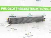 Radiator 214C10001R Opel Movano Van 2.3 CDTi 16V FWD (M9T-716(M9T-F7)) 2022-06