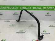 Tankband 1536G4 Citroën Jumper (U9) Van 2.2 HDi 120 Euro 4 (P22DTE(4HU)) 2009-03