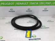 Türgummis Links Hinten 9823214780 Peugeot 208 II (UB/UH/UP) Schrägheck 5-drs 1.2 Vti 12V PureTech 100 (EB2ADTDB(HNE)) 2021-12