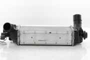 Ladeluftkühler L1BG6D624AB Ford Puma SUV 1.0 Ti-VCT EcoBoost mHEV 12V (B7JB) 2025-02