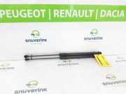 Gasdruckfedern Set Hinten 904508213R Renault Clio V (RJAB) Schrägheck 5-drs 1.0 TCe 90 12V (H4D-470(H4D-E4)) 2021-10