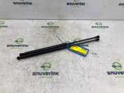 Gasdruckfedern Set Hinten B000877780 Peugeot 108 Schrägheck 1.0 12V VVT-i (1KRFE(CFB)) 2020-05