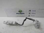 Innenbeleuchtung Vorne 266022256R Renault Talisman (RFDL) Limousine 1.6 Energy TCe 150 EDC (M5M-450(M5M-B4)) 2016-03