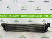 Ladeluftkühler 144960015R Renault Master III (FV) Van 2.3 Energy dCi 180 Twin Turbo 16V FWD (M9T-726(M9T-G7)) 2024-01