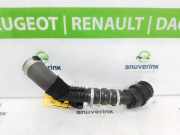 Intercooler Schlauch 144608578R Renault Kangoo Express (RF..) Van 1.5 Blue dCi 75 (K9K-876(K9K-U8)) 2023-05