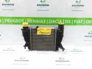Ladeluftkühler 8200471884 Renault Clio III (BR/CR) Schrägheck 1.2 16V TCe 100 (D4F-784(D4F-H7)) 2011-11
