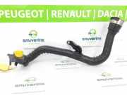 Intercooler Schlauch 144607753R Renault Kadjar (RFEH) SUV 1.3 TCE 140 FAP 16V (H5H-470(H5H-B4)) 2019-03