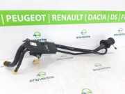Füllrohr DRF542280A Mazda CX-30 (DM) SUV 2.0 e-SkyActiv X 186 M Hybrid 16V (HFY7) 2021-11