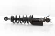 Federbein Links Hinten 9830038280 Peugeot 508 (F3/FB/FH/FP) Liftback 1.6 16V PureTech 180 (EP6FADTXD(5GF)) 2019-02