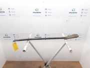 Stabilisatorstange Hinten 820010994 Renault Trafic New (FL) Van 2.0 dCi 16V 90 (M9R-780) 2008-02