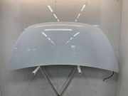 Motorhaube 6000620754 Fiat Talento Van 2.0 EcoJet BiTurbo 145 (M9R-710(M9R-V7)) 2020-09