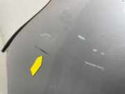 Kotflügel Links Vorne 631013304R Renault Master III (FV) Van 2.3 dCi 165 16V FWD (M9T-708) 2015-02