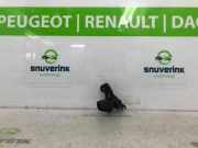 Türgriff Außen Links 8200385181 Renault Twingo II (CN) Schrägheck 3-drs 1.2 (D7F-800) 2008-05