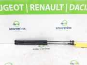 Gasdruckfedern Set Hinten 904507649R Renault Captur II (RJB) SUV 1.6 E-Tech 160 (H4M-630(H4M-B6)) 2023-01