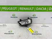 Nebelscheinwerfer Links Vorne 1ST941699A Skoda e-Citigo Schrägheck e iV (EBMA) 2021-04