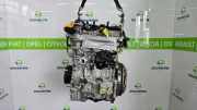 Motor 8201745630 Dacia Duster (DJF) SUV 1.2 TCE 130 12V Mild Hybrid 4x2 (H5F-A6) 2024-11