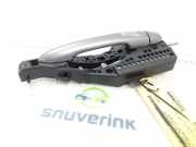 Türgriff Außen Links Hinten 806B02596R Renault Captur (2R) SUV 0.9 Energy TCE 12V (H4B-A400) 2015-01