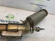 Katalysator 7LA254500GX Volkswagen Transporter T6 Van 2.0 TDI 150 (DNAA) 2024-06 DNAA