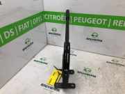 Handbremshebel ABS 8200688676 Renault Master III (FV) Van 2.3 Energy dCi 180 Twin Turbo 16V FWD (M9T-726(M9T-G7)) 2024-01