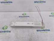 Innenbeleuchtung Hinten 020620 Renault Trafic New (FL) Van 2.0 dCi 16V 90 (M9R-780) 2009-10