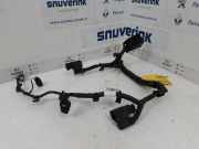 Kabelbaum 2507072822 Renault Twingo III (AH) Schrägheck 5-drs 0.9 Energy TCE 90 12V (H4B-C4) 2017-09