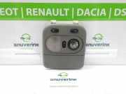 Innenbeleuchtung Vorne 7701054339 Nissan Interstar (X70) Van 2.2 dCi 16V (G9T-722) 2003-01