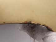 Kotflügel Rechts Vorne 7841L8 Peugeot 206 SW (2E/K) Kombi 1.6 16V (TU5JP4(NFU)) 2003-01