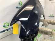 Kotflügel Links Vorne 631010135R Dacia Logan MCV II/Sandero Wagon (7S) Kombi 0.9 TCE 12V LPG (H4B-B4(Euro 6)) 2016-05