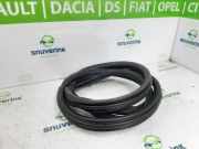 Türgummis Links Vorne 9811537480 DS DS 7 SUV 1.6 16V E-Tense 300 4x4 (EP6FADTXHPA(5GB)) 2023-09 EP6FADTXHPA(5GB)