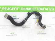 Intercooler Schlauch 144605006R Dacia Sandero III Schrägheck 1.0 TCe 90 12V (H4D-470(H4D-E4)) 2024-03