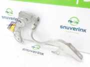 Motorhaubescharnier 51783704 Fiat 500 (312) Schrägheck 1.2 (169.A.4000(Euro 5)) 2009-09