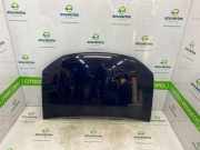 Motorhaube 651001918R Dacia Logan MCV II/III/Sandero Wagon Kombi 0.9 TCE 12V LPG (H4B-B4(Euro 6)) 2016-05