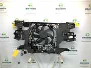 Kühlerträger 214812415R Renault Scénic III (JZ) Großraumlimousine 1.6 16V (K4M-858(K4M-R8)) 2010-02