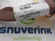 Kabelbaum 291Y16581R Renault Zoé (AG) Schrägheck 5-drs 60kW (5AM B4) 2013-06