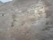 Auspuff Endtopf 9808562180 Peugeot Expert (V1/VA/VB/VE/VF/VT/VY) Van 2.0 Blue HDi 120 16V (DW10FE(AHK)) 2018-03