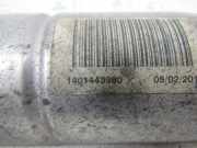 Katalysator 1731WG Peugeot Expert (G9) Van 2.0 HDiF 16V GT (DW10CTED4(RHH)) 2010-03