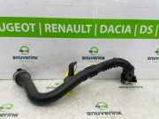 Intercooler Schlauch 144604814R Renault Scénic IV (RFAJ) Großraumlimousine 1.3 TCE 115 16V (H5H-450(H5H-A4)) 2019-10