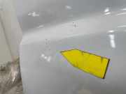 Kotflügel Rechts Vorne 1611654980 Fiat Ducato (250) Van 2.2 D 120 Multijet 3 (46356294) 2024-12