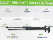 Gasdruckfedern Set Hinten 9813913880 Citroën C4 Cactus (0B/0P) Schrägheck 5-drs 1.2 PureTech 82 12V (EB2(HMZ)) 2015-02