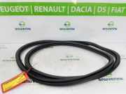 Türgummis Rechts Vorne 9820823880 DS DS 3/Crossback (UC/UJ/UR) Schrägheck 1.2 12V PureTech 130 (EB2ADTS(HNS)) 2020-07 EB2ADTS(HNS)