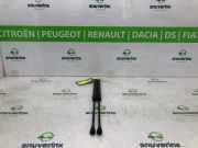 Gasdruckfedern Set Hinten 9827758080 Peugeot 208 II (UB/UH/UP) Schrägheck 5-drs 1.2 Vti 12V PureTech 100 (EB2ADTDB(HNE)) 2021-12
