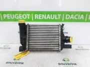 Ladeluftkühler 144961381R Dacia Duster (HS) SUV 1.2 TCE 16V (H5F-B404) 2015-04