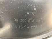 Innenkotflügel 9820091880 DS DS 7 SUV 1.6 16V E-Tense 300 4x4 (EP6FADTXHPA(5GB)) 2023-09 EP6FADTXHPA(5GB)