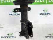 Federbein Rechts Vorne 543023941R Renault Trafic (1FL/2FL/3FL/4FL) Van 1.6 dCi 125 Twin Turbo (R9M-452(R9M-D4)) 2017-03