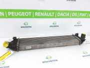 Ladeluftkühler 8V619L440AC Volvo V50 (MW) Kombi 1.6 D2 16V (D4162T) 2011-06