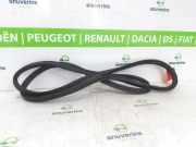 Heckklappe Gummi YQ00172480 Citroën C3 Aircross I (2C/2R) SUV 1.2 PureTech 82 (EB2FA(HMR)) 2018-04