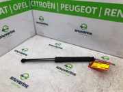 Gasdruckfedern Set Hinten 9813177780 Citroën C3 (SX/SW) Schrägheck 1.2 12V e-THP PureTech 110 (EB2ADT(HNP)) 2019-03