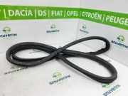 Türgummis Links Vorne 9023XG Peugeot 207/207+ (WA/WC/WM) Schrägheck 1.6 16V VTi (EP6C(5FS)) 2009-08