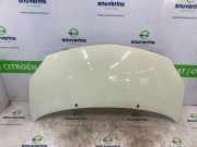 Motorhaube 7751477649 Renault Twingo II (CN) Schrägheck 3-drs 1.2 16V (D4F-770) 2011-02