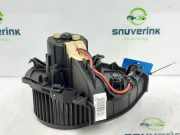 Heizgebläse Motor 1613566380 Peugeot Expert (G9) Van 1.6 HDi 90 (DV6UTED4(9HU)) 2010-08
